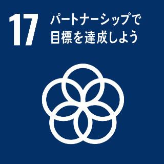 sdgs no17